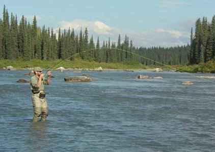 Alaska fly in fishing