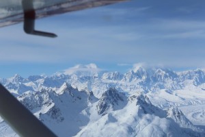 Denali Flight Tours