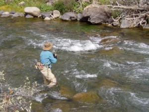 fly fishing alaska